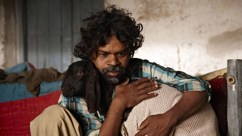 Peepli Live screenshot 6