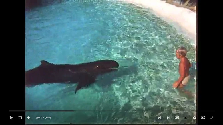 Dolphin screenshot 1