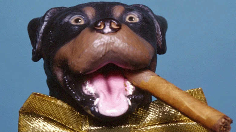 Late Night with Conan O'Brien: The Best of Triumph the Insult Comic Dog screenshot 1