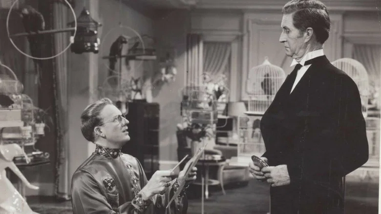 Paddy O'Day screenshot 1