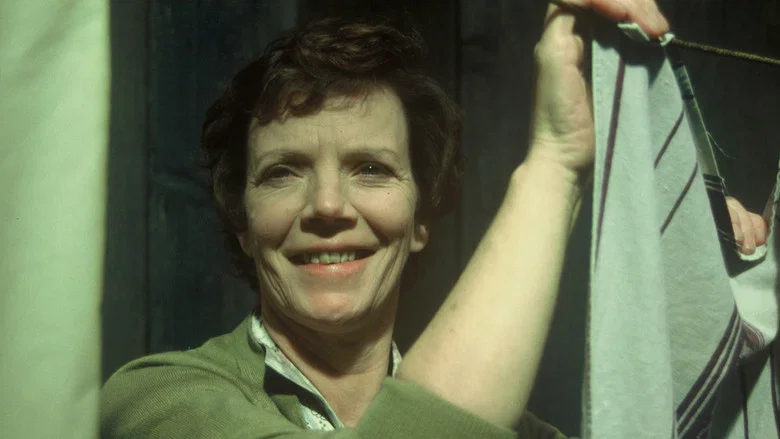 The Long Day Closes screenshot 4