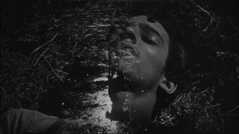 The Young and the Damned screenshot 4