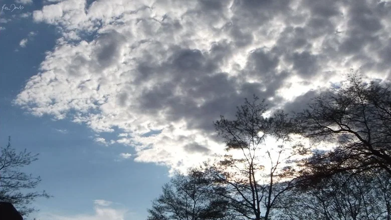 Clouds and Trees screenshot 1