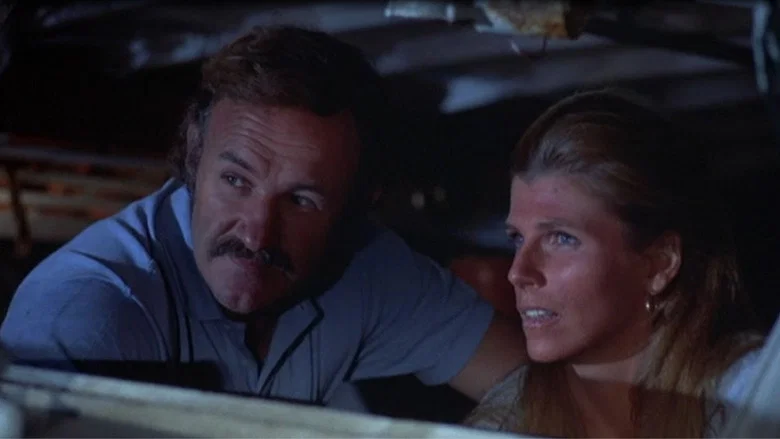 Night Moves screenshot 4