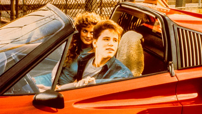 License to Drive screenshot 3