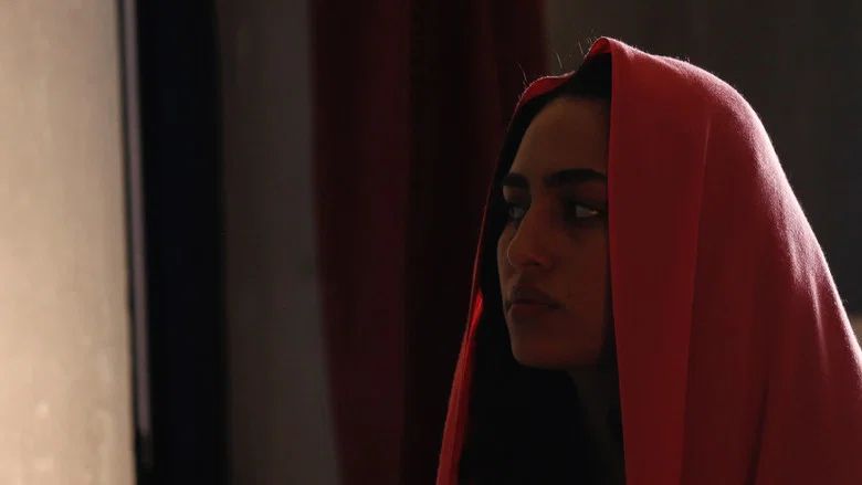 Apatride screenshot 2