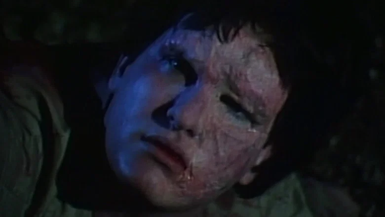 Offerings screenshot 6