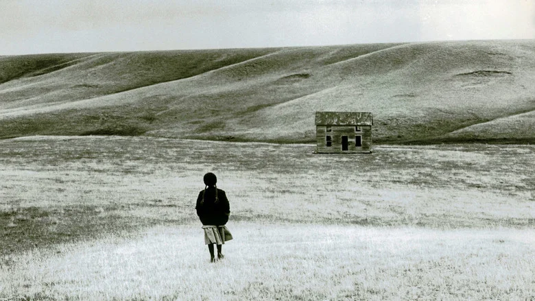 Heartland screenshot 2
