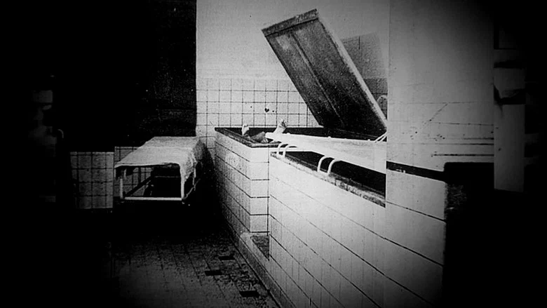 Hitler's Evil Science screenshot 2
