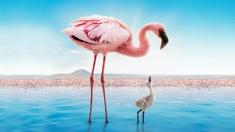 The Crimson Wing: Mystery of the Flamingos screenshot 3