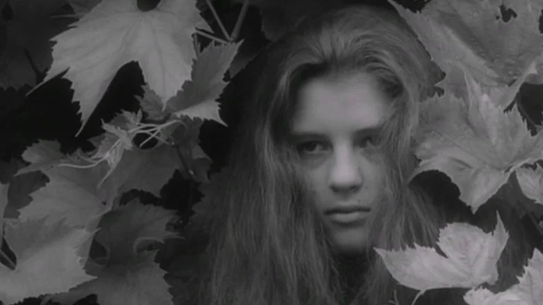 Alice in Wonderland screenshot 1