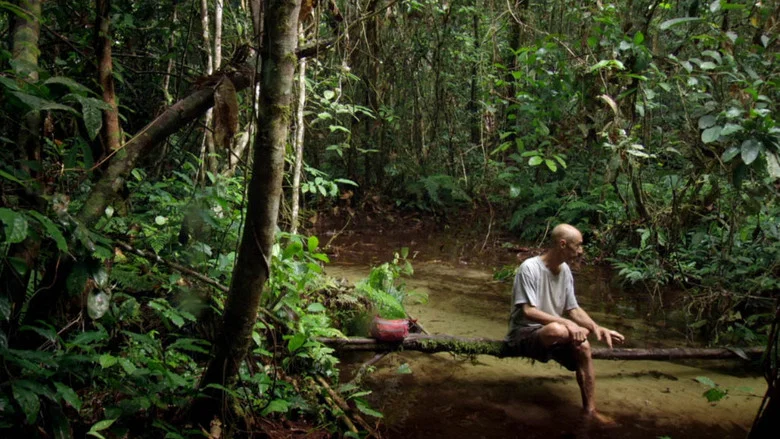 Song from the Forest screenshot 1