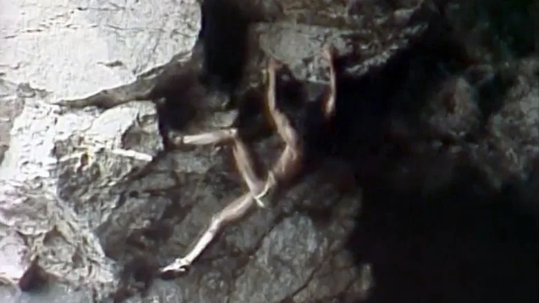 Metamorfosi screenshot 1