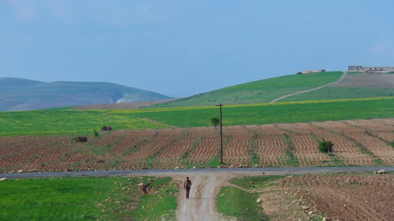 The Road screenshot 5