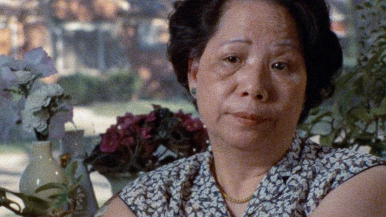 Who Killed Vincent Chin? screenshot 1