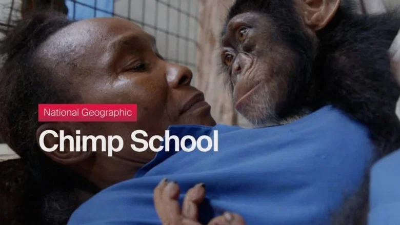 Chimp School screenshot 1