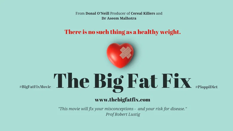 The Big Fat Fix screenshot 1