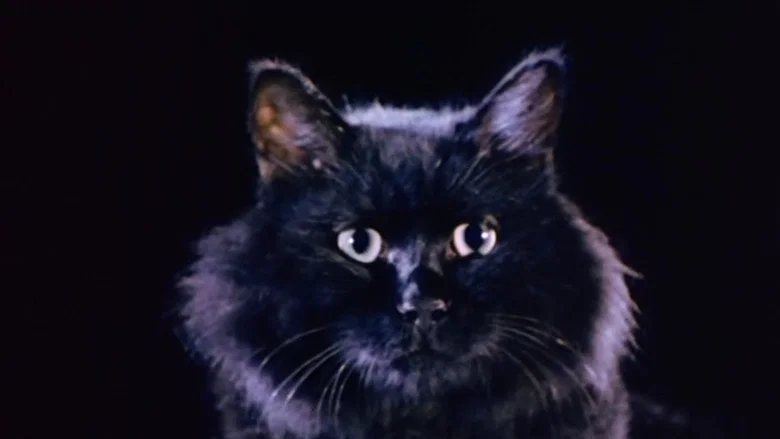 The Cat screenshot 7