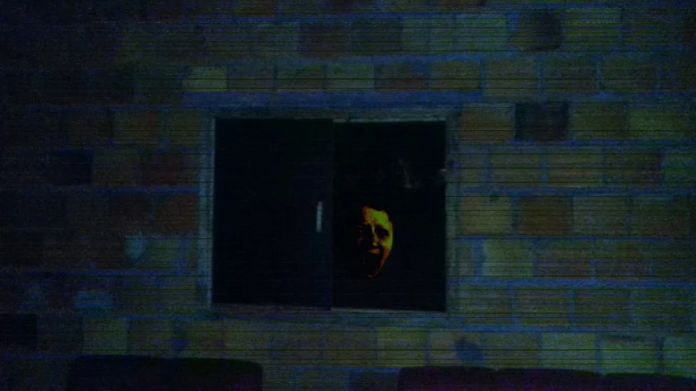 Happy Face In The Window screenshot 1