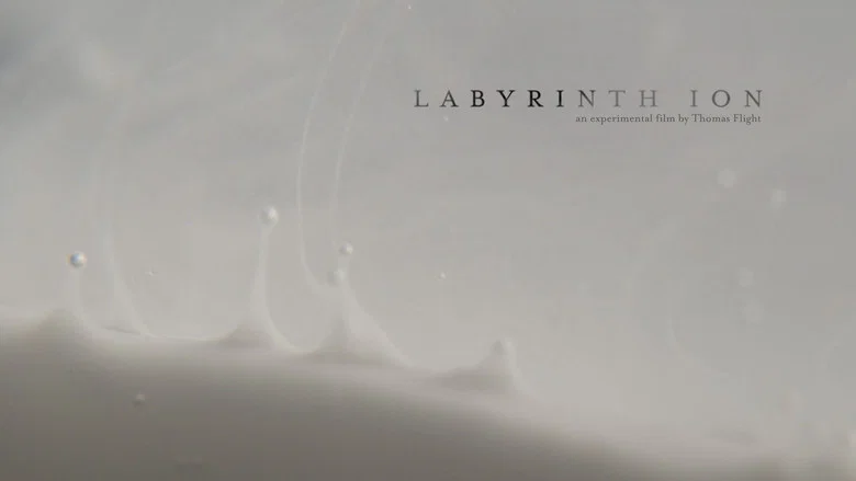 Labyrinth Ion screenshot 1