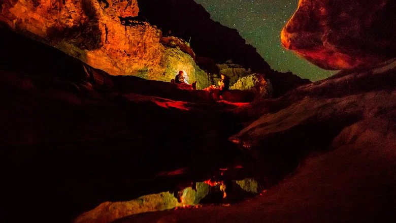 Into the Grand Canyon screenshot 2