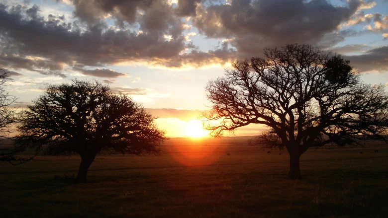 Silent Light screenshot 1