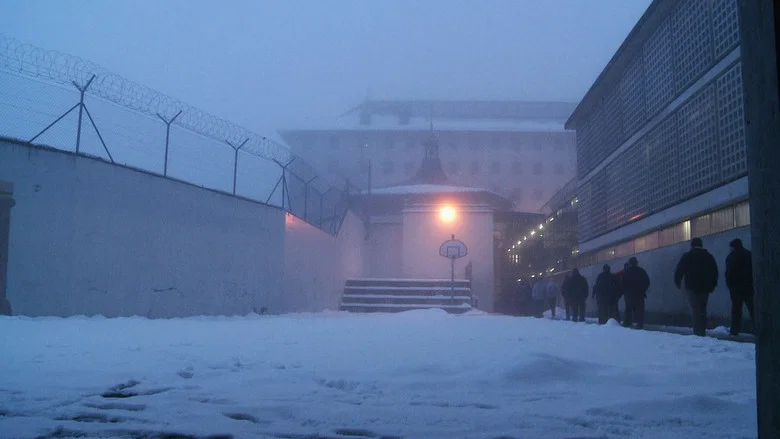 Thorberg screenshot 1