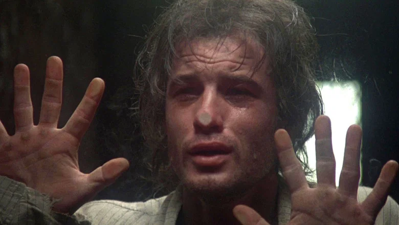 Midnight Express screenshot 5