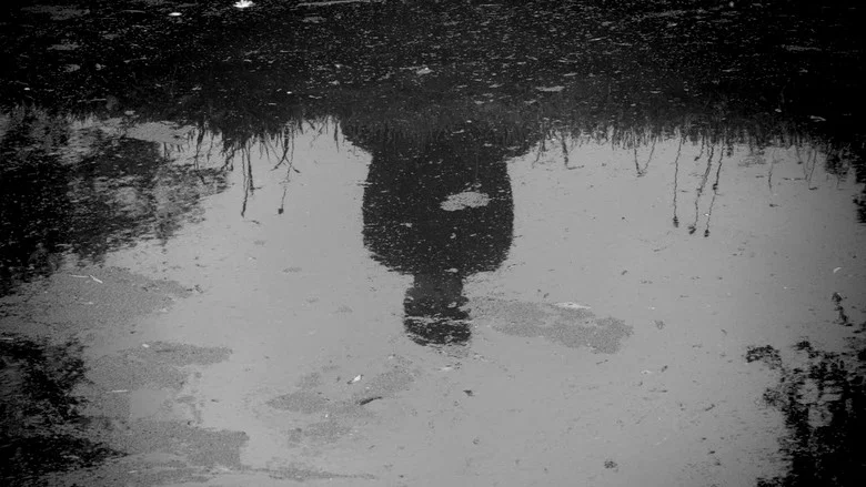 Narcissus screenshot 1