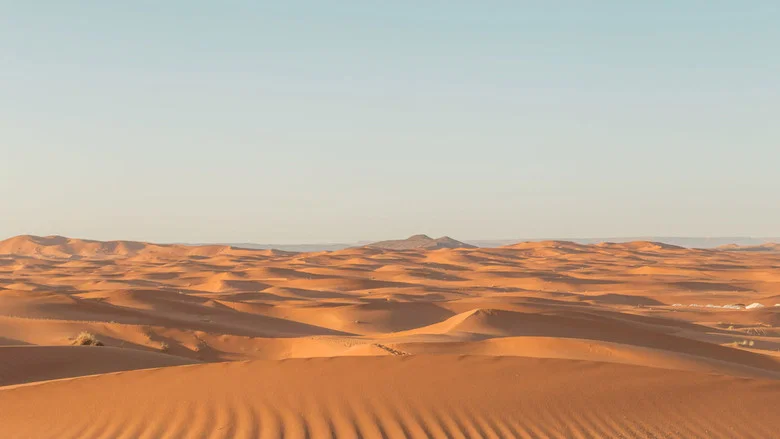 Sahara Swing screenshot 1