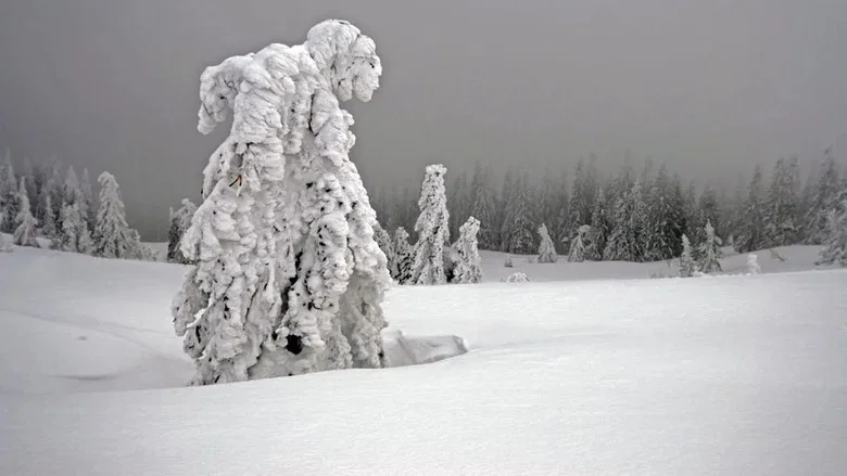 White Winter screenshot 3