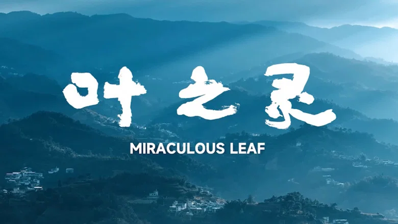 Miraculous Leaf screenshot 1