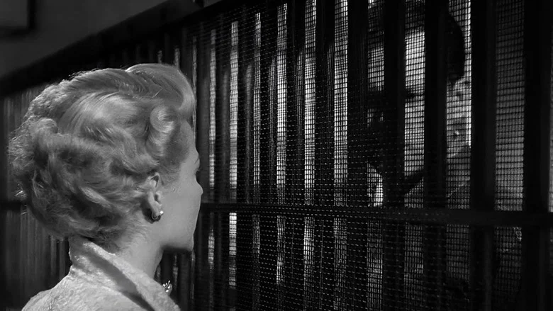The Lady from Shanghai screenshot 8