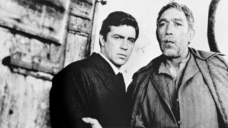 Zorba the Greek screenshot 6