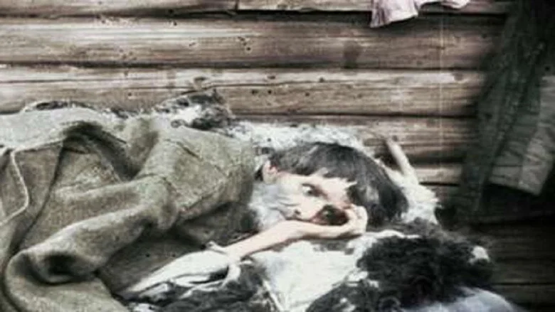 Stalin, the Red Tyrant screenshot 3