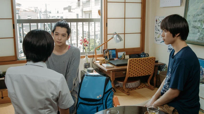 One Summer Story screenshot 4