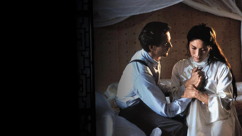 M. Butterfly screenshot 6