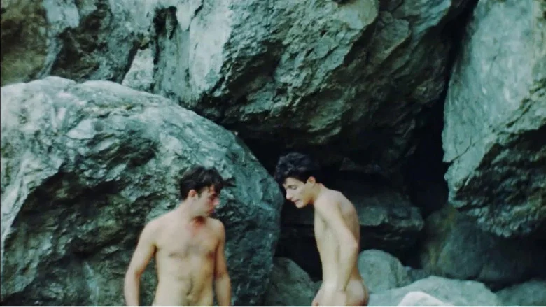 Nus Masculins screenshot 1