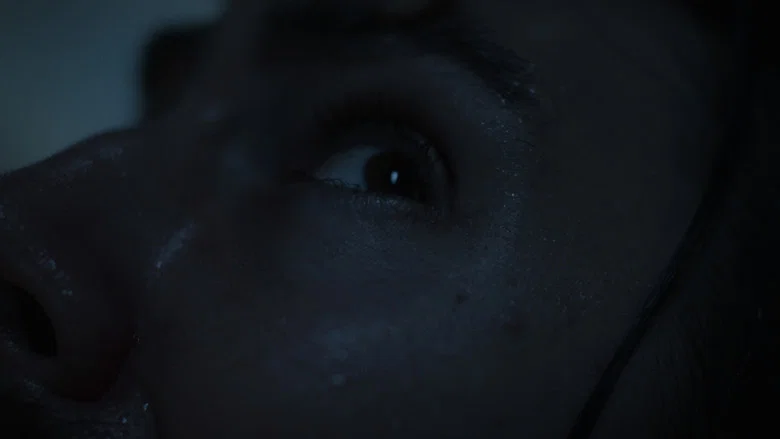 The Dysphoria screenshot 7