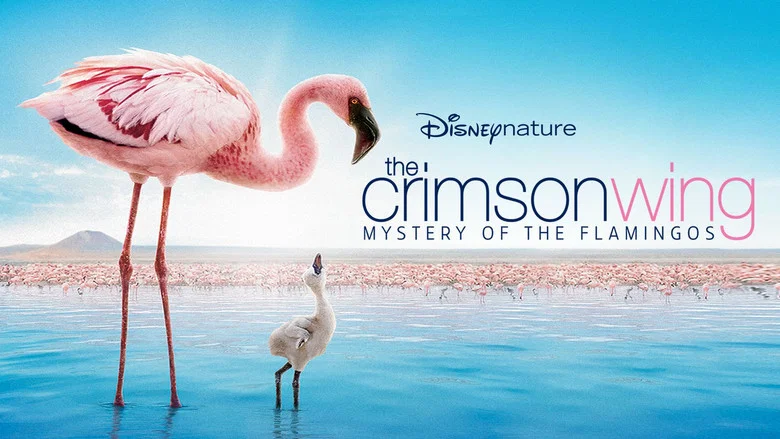 The Crimson Wing: Mystery of the Flamingos screenshot 1