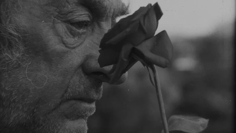 An Old Man's Tear screenshot 2