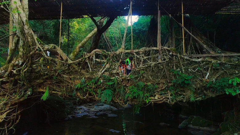 For Tomorrow - the Documentary screenshot 1