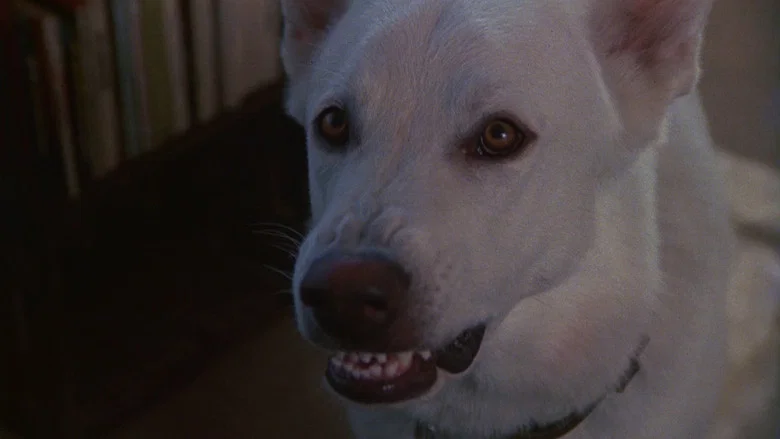 White Dog screenshot 6