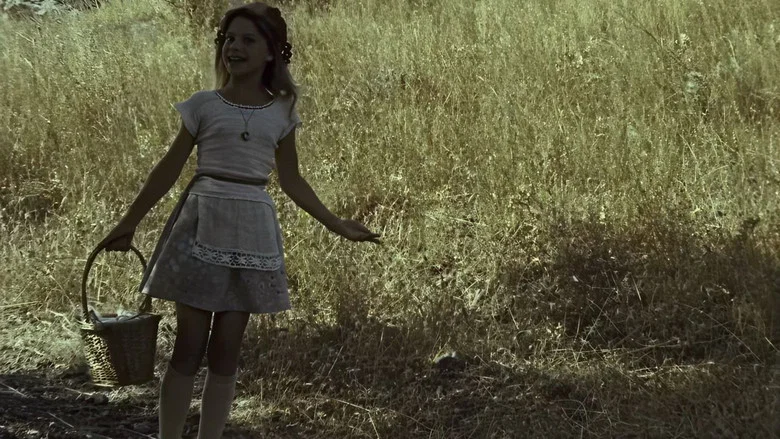 About the Little Red Riding Hood screenshot 3