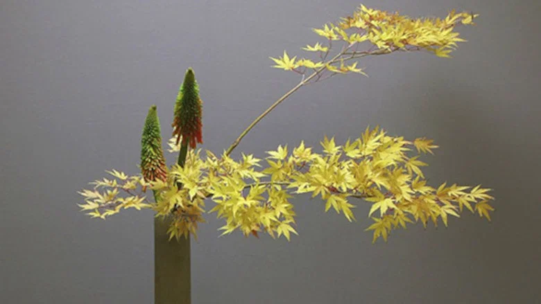 Ikebana screenshot 1