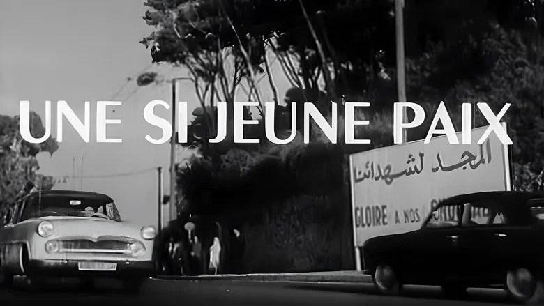 So Young a Peace screenshot 4