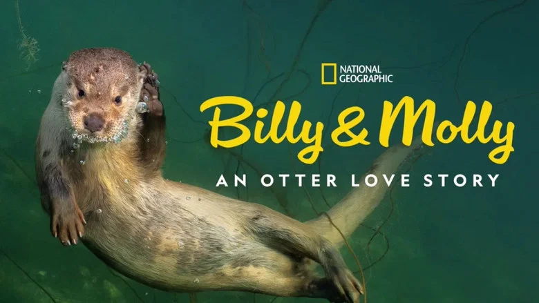 Billy & Molly: An Otter Love Story screenshot 5