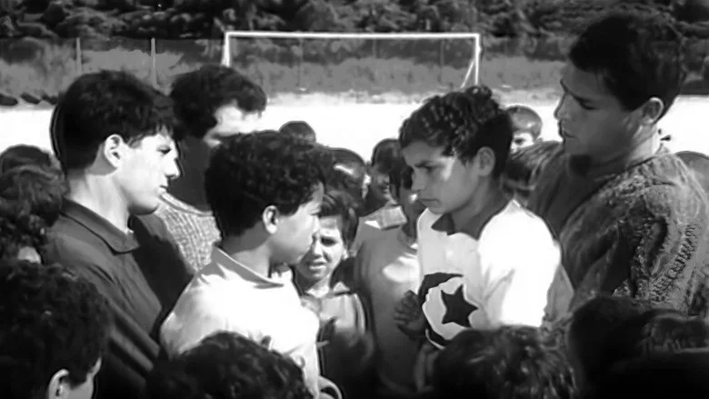So Young a Peace screenshot 1