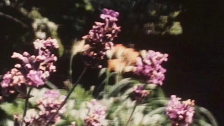 Letter from a Filmmaker to His Daughter screenshot 3