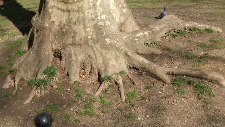 Roots of Manhattan screenshot 1